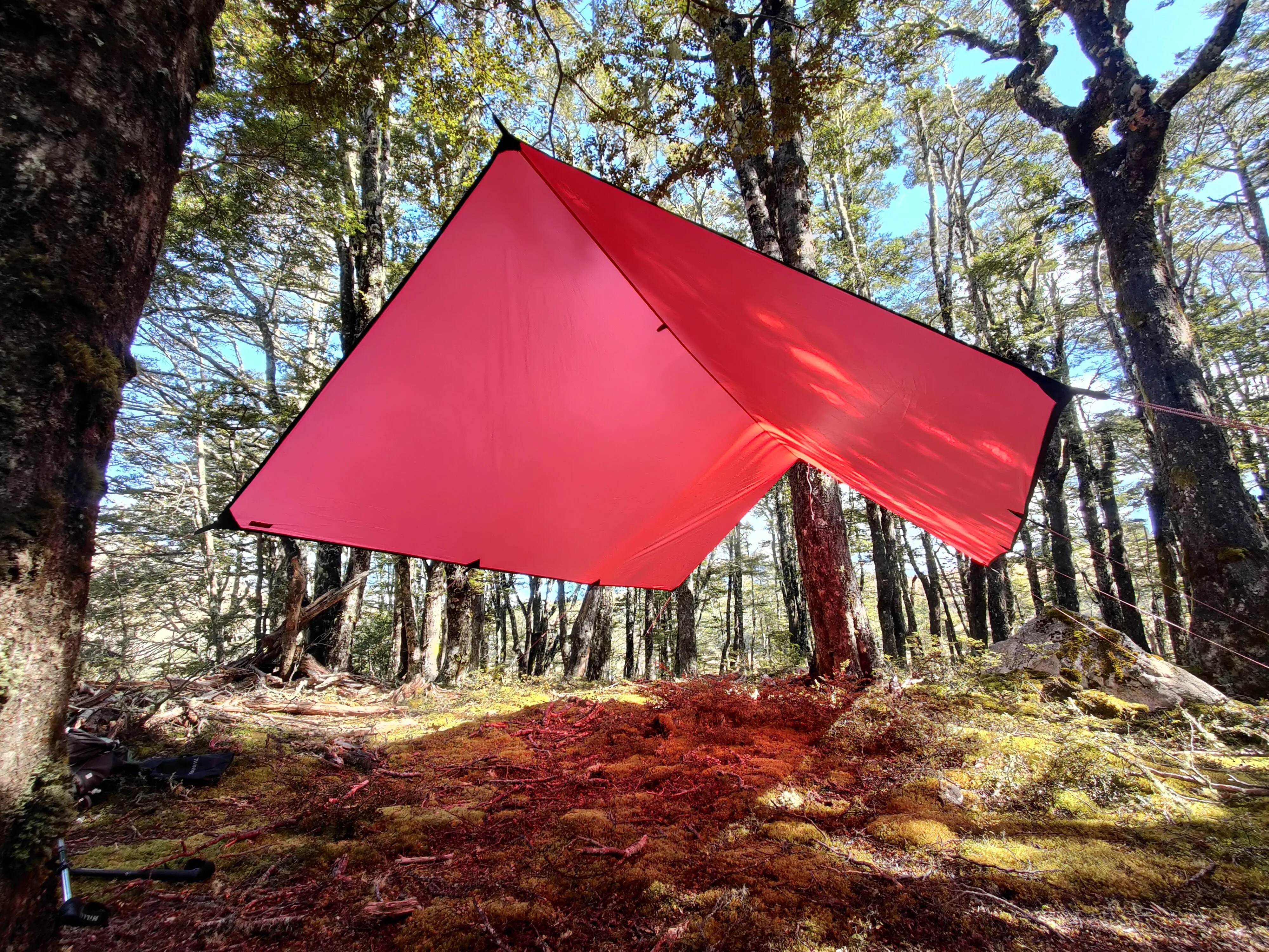 TwinNeedle Tarp