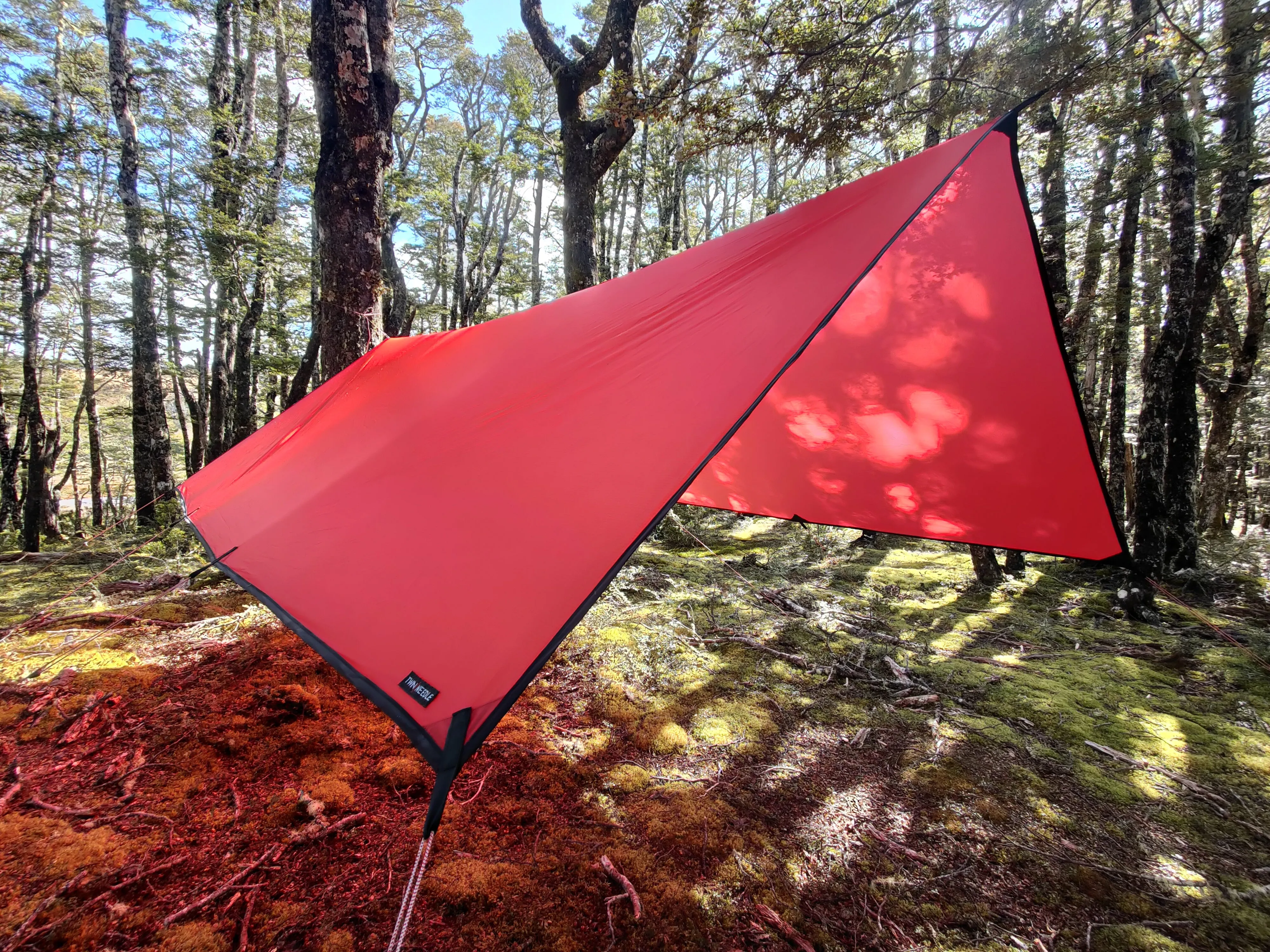 TwinNeedle Tarp